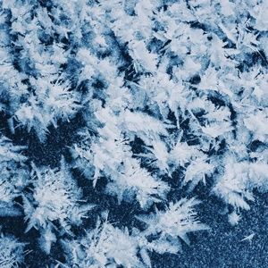 Meet your Posher, Xenia